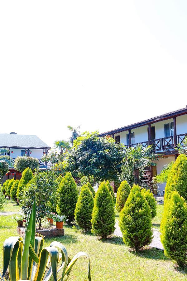 Guest House Alashara Pizunda Exterior photo